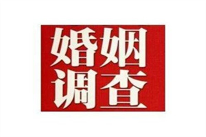 产品自动化531514