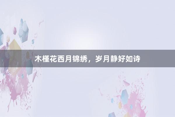 木槿花西月锦绣，岁月静好如诗